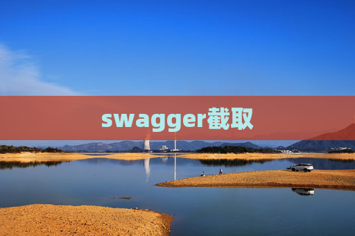 swagger截取